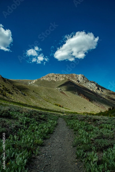 Obraz John Muir Wilderness