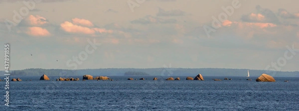 Fototapeta Panorama of Baltic sea shelf with boulders and stones. Clouds, yacht and birds in evening warm light. Clean nordic nature in gulf of Finland.