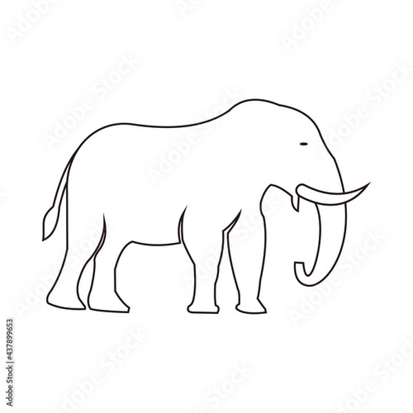 Fototapeta Elephant icon vector illustration design