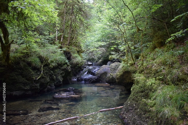 Obraz lac et rivière