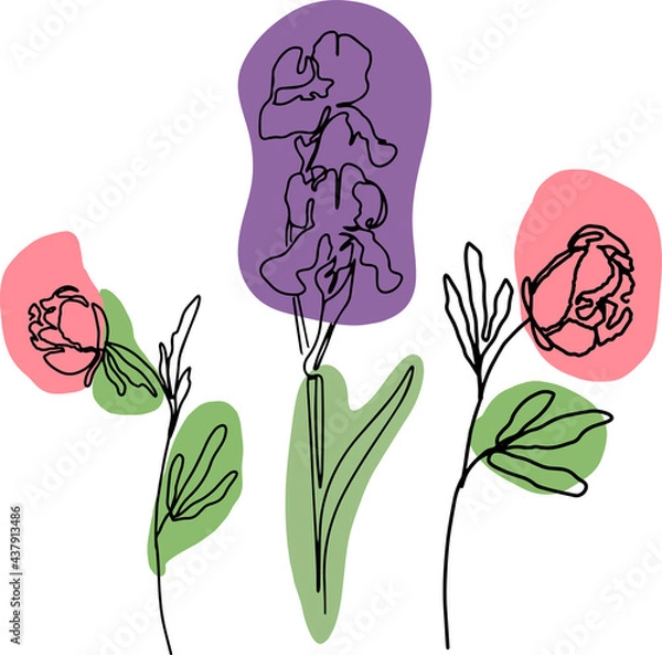 Fototapeta hand drawn Line art monoline flowers . Vector illustration