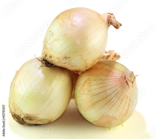 Obraz Onion