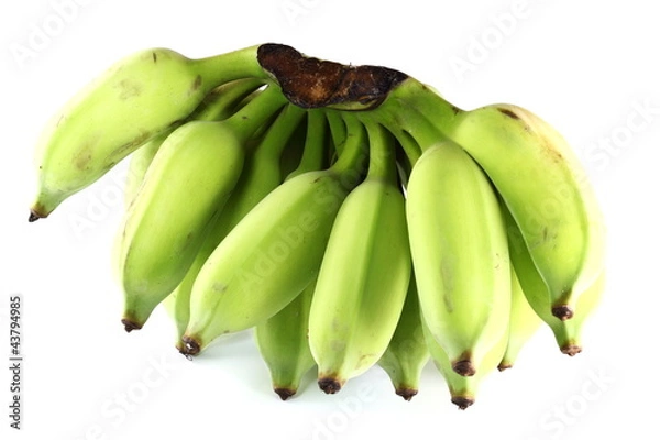 Obraz Green Banana