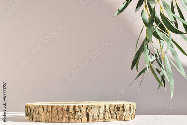 Fototapeta Podium for product presentation. A minimalistic scene of a felled tree with a branch of greenery with natural shadows.