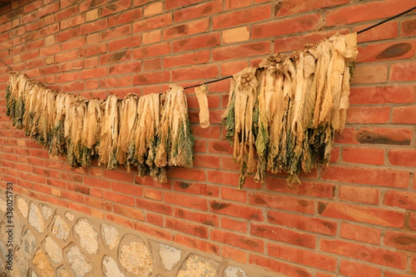 Fototapeta Dried cabbage hanging on the wall, North China
