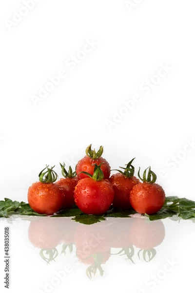 Fototapeta Ripe cherry tomatoes with drops of water and green leaves on a white background with copy space and reflections on the surface.