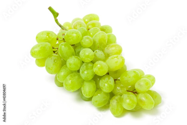 Obraz White grape bunch