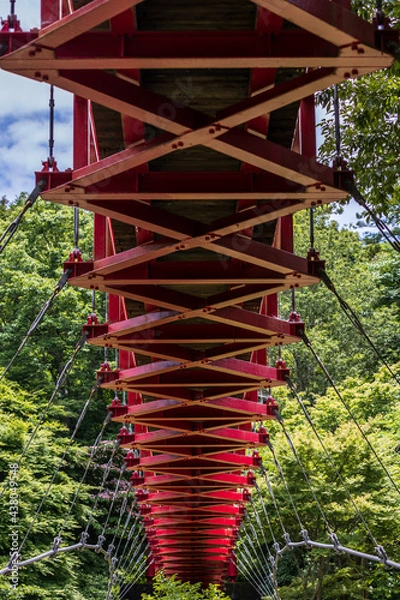 Obraz red bridge in the park