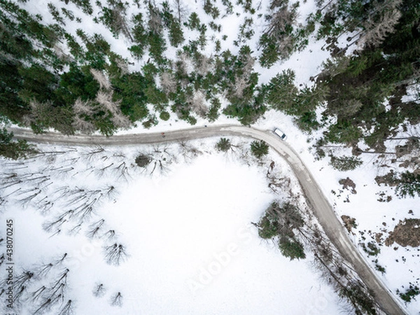 Fototapeta snow covered trees