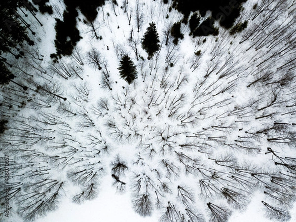 Fototapeta background