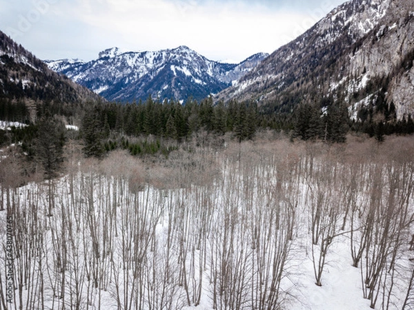 Fototapeta lake in winter