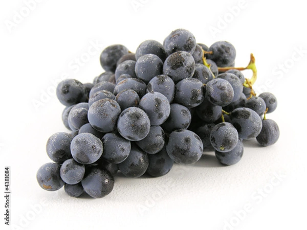 Obraz Kiść winogron muscat