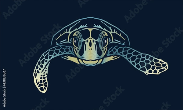 Obraz green-sea-turtle on black background