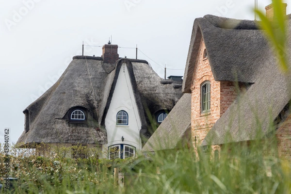 Obraz a Sylt typical brick house with a thatched roof. shot of special red houses with meadow and grass in the foreground. 