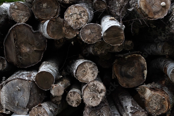 Obraz stack of firewood