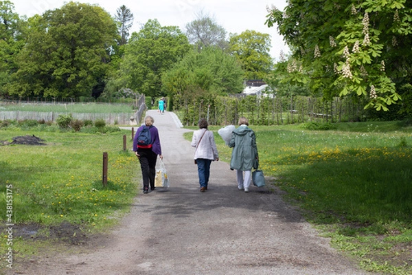 Obraz walking in the park