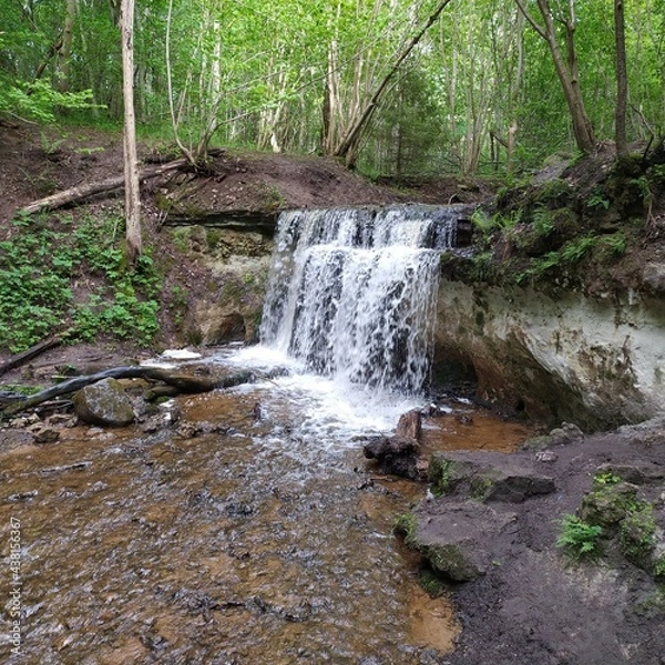 Fototapeta waterfall in the forest