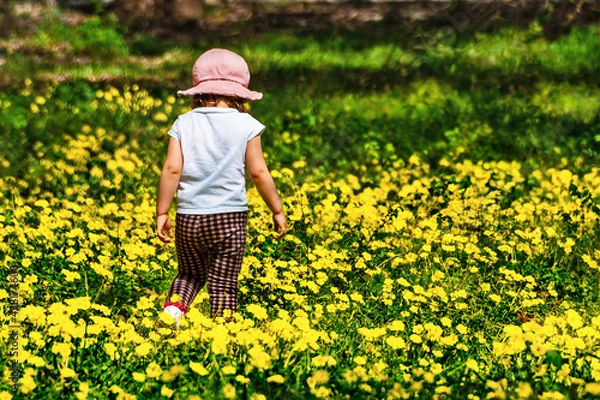 Fototapeta Spring Time