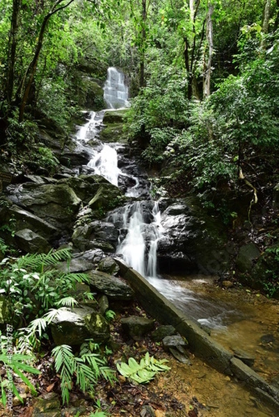 Obraz waterfall in the forest