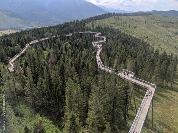 Fototapeta Tree top walk