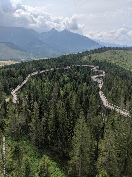 Fototapeta Tree top walk