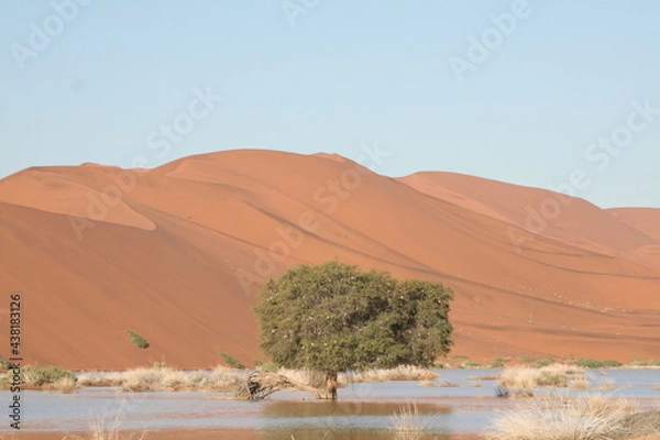 Fototapeta Desert in Namibia