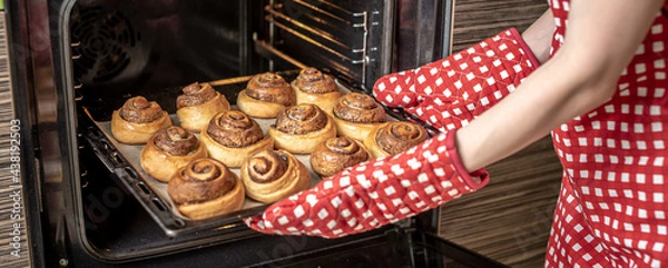 Fototapeta Female hands are taking out fresh fragrant cinnamon rolls from the hot oven. Concept of the homemade baking and cooking
