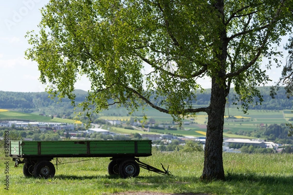 Obraz Anhänger unter dem Baum