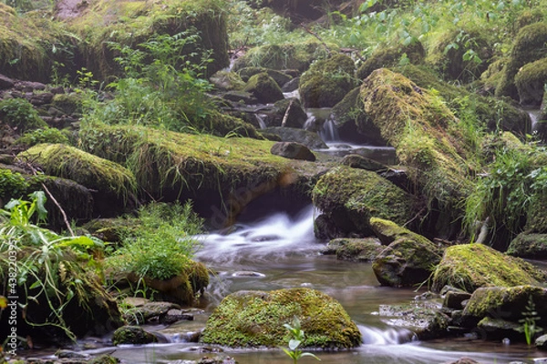 Obraz kleiner Fluss im Wald
