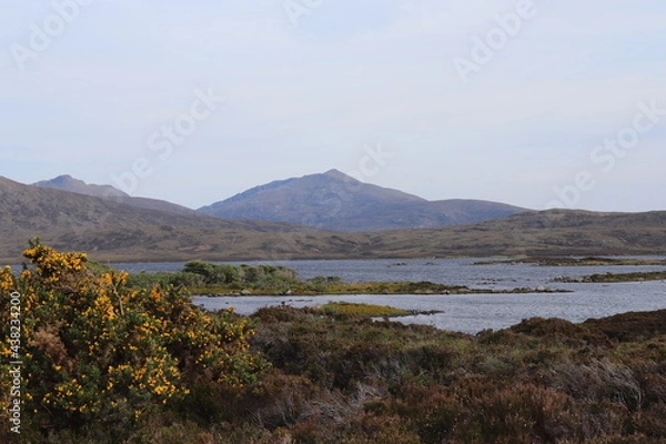Fototapeta mountain in spring