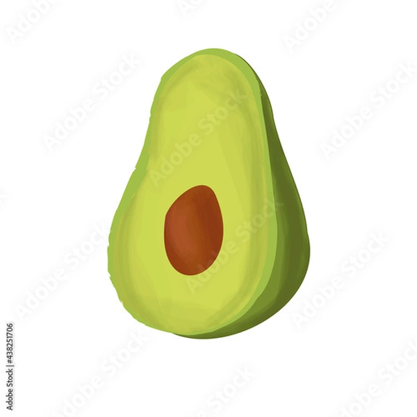 Fototapeta Avocado fruit with core isolated on white background. Hand-drawn painting. Vector illustration.