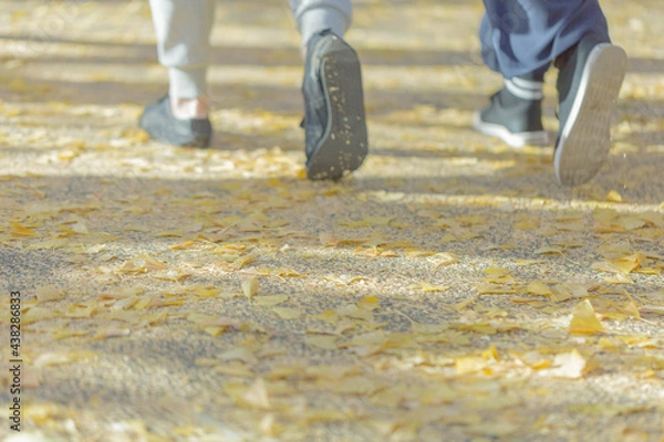 Obraz 落ち葉と後ろ姿