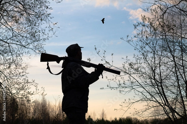 Obraz a hunter with a rifle on his shoulder looks at a flying woodcock late at night