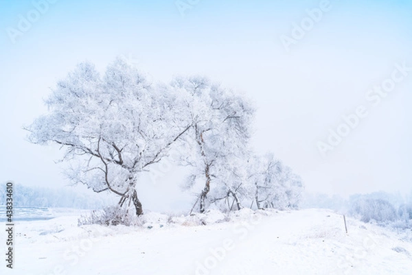 Obraz winter landscape with trees