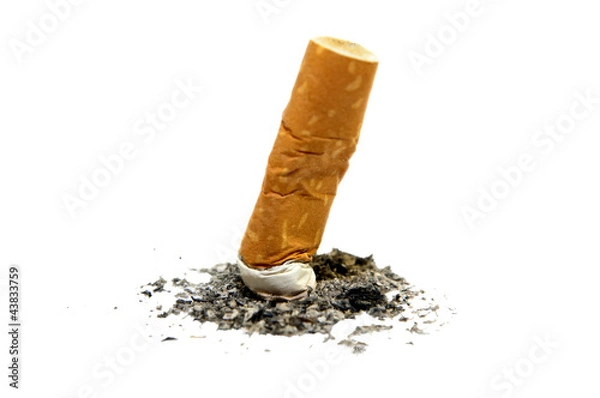 Fototapeta Cigarette butt with ash