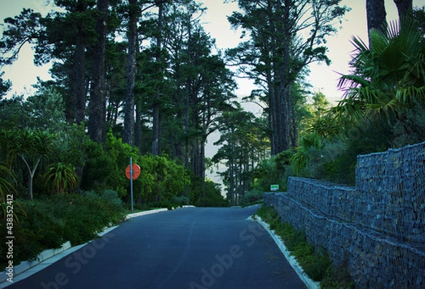 Obraz Scenic Entry Route Surrounded By Trees