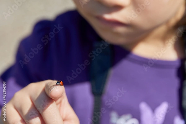 Obraz テントウムシをみつけた！