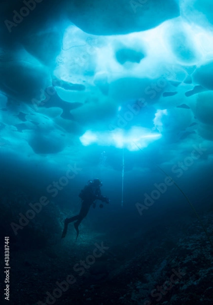 Obraz 氷下の世界