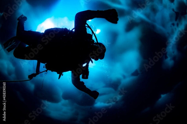 Obraz 流氷の下へ