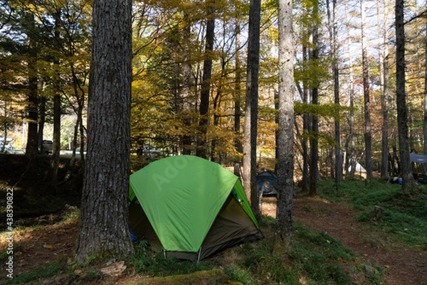 Obraz 秋のキャンプ