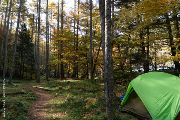 Obraz 秋のキャンプ