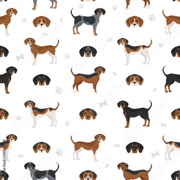 Fototapeta American foxhound all colours seamless pattern. Different coat colors set