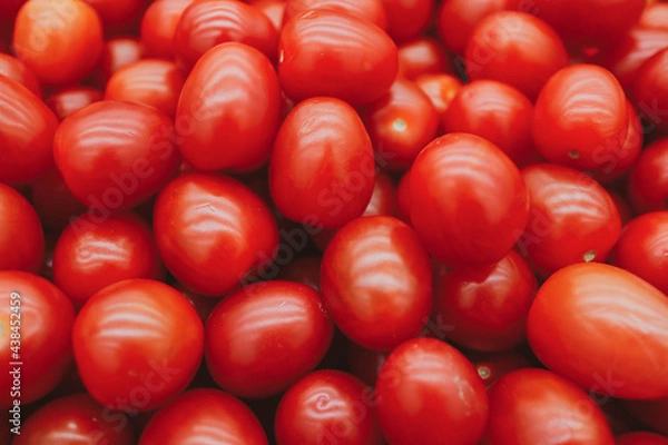Obraz red tomatoes background