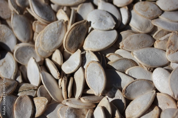 Obraz sunflower seeds background