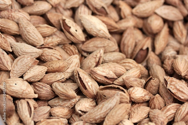 Obraz almond nuts, close up view