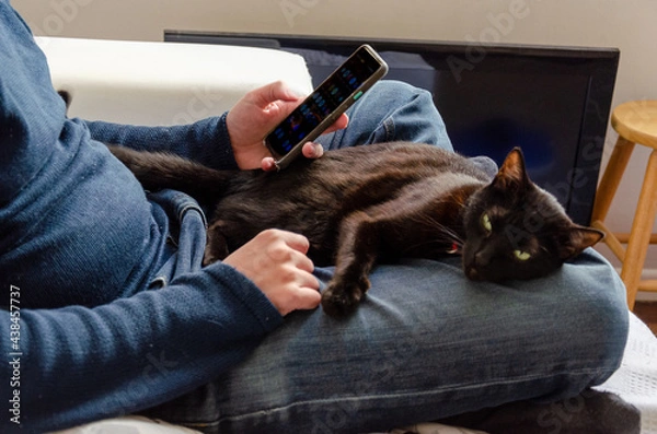 Fototapeta a man sitting on a couch using smartphone with a black cat on his lap