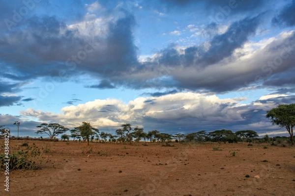 Fototapeta Ilpartimaro