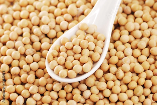 Fototapeta the soya beans
