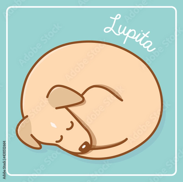 Obraz Sleepy cute dog