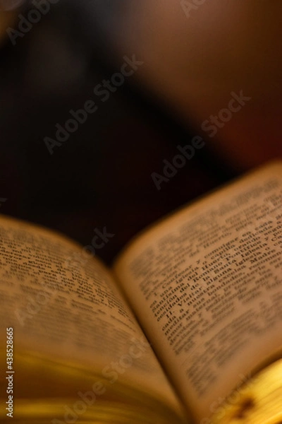 Obraz Open book pages